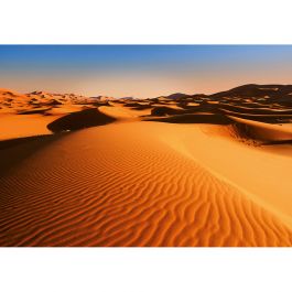 Tapet Desert Landscape W+G