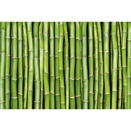 Tapet Bamboo Dimex