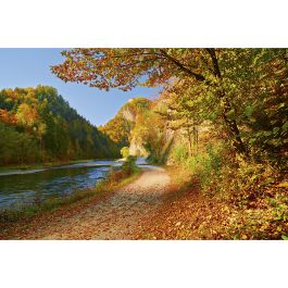 Tapet Dunajec River Dimex