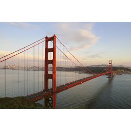 Tapet Golden Gate Dimex