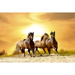 Tapet Horses In Sunset Dimex