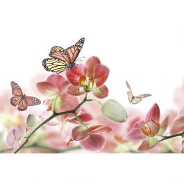 Tapet Orchids And Butterfly Dimex