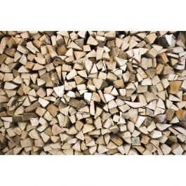 Tapet Timber Logs Dimex