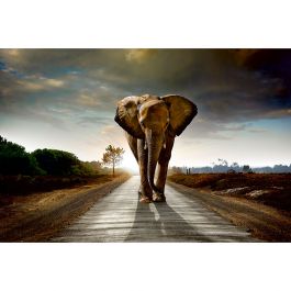 Tapet Walking Elephant Dimex