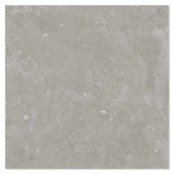 Ariana Klinker Memento Bruges Grey Antique 3d Matt 120x120 cm