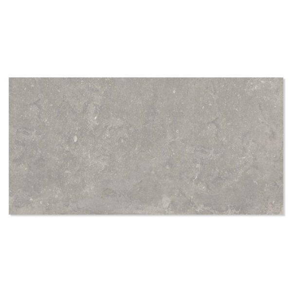 Ariana Klinker Memento Bruges Grey Matt 60x120 cm