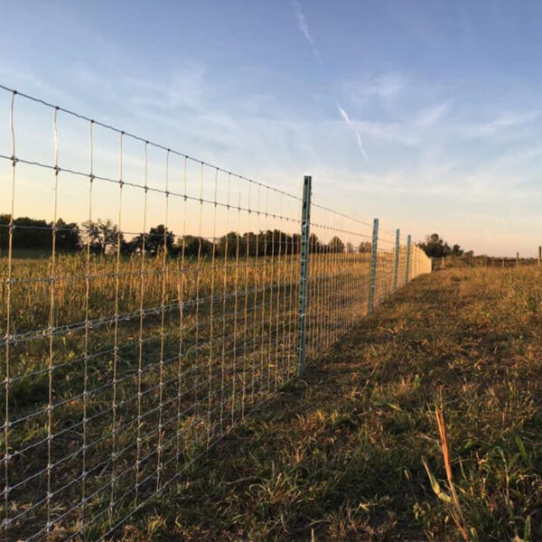 Viltstängsel 125cm högt | 100 meter paket